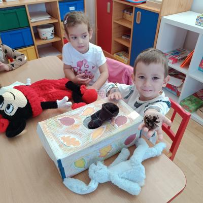 Img 20241028 085724