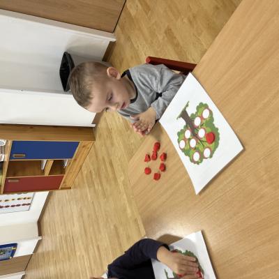 Img 7234