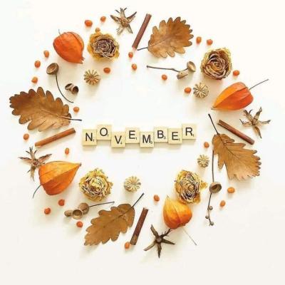 November u Myšiek