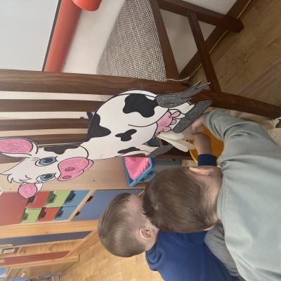 Img 1160