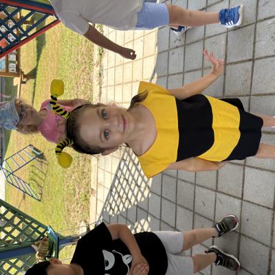Img 9206