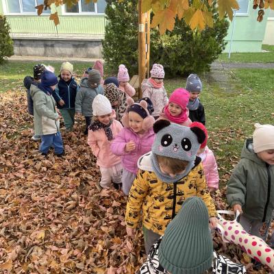 00562029 137b 418b A346 52203748b3d6