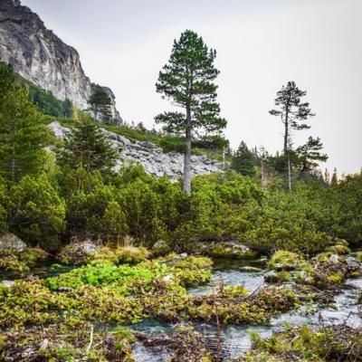 Turistická vychádzka žabky a včielky